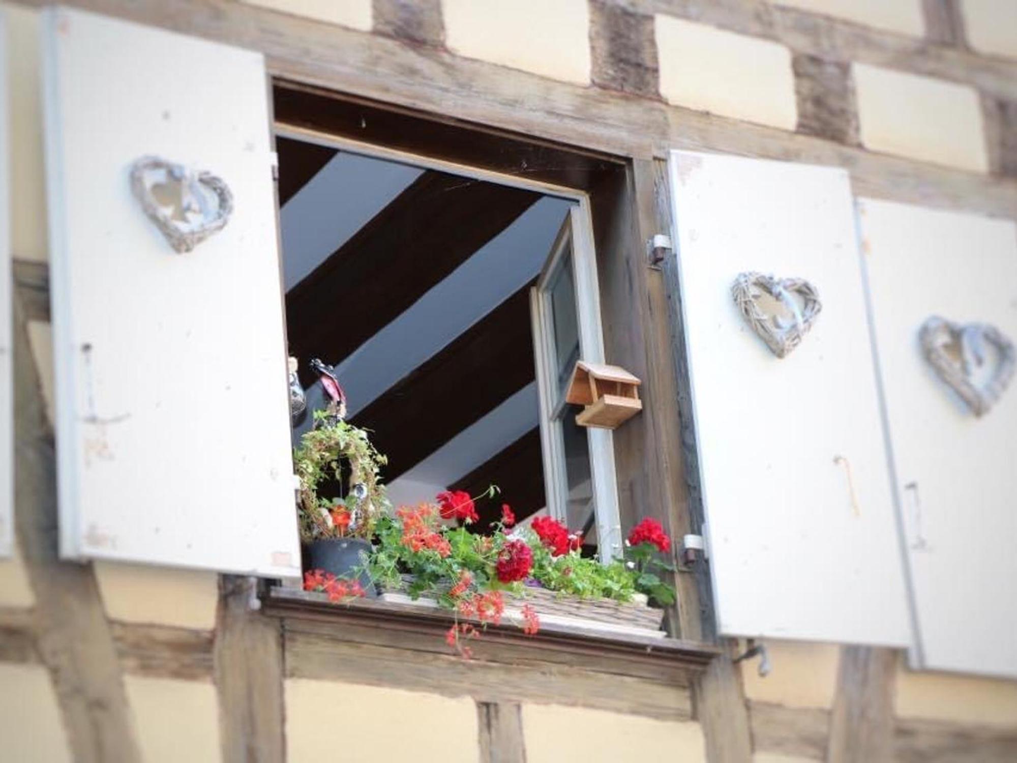Charmant Appart Avec Garage Et Terrasse Au Coeur De Colmar, Pres De La Route Des Vins D'Alsace - Fr-1-722-6 エクステリア 写真