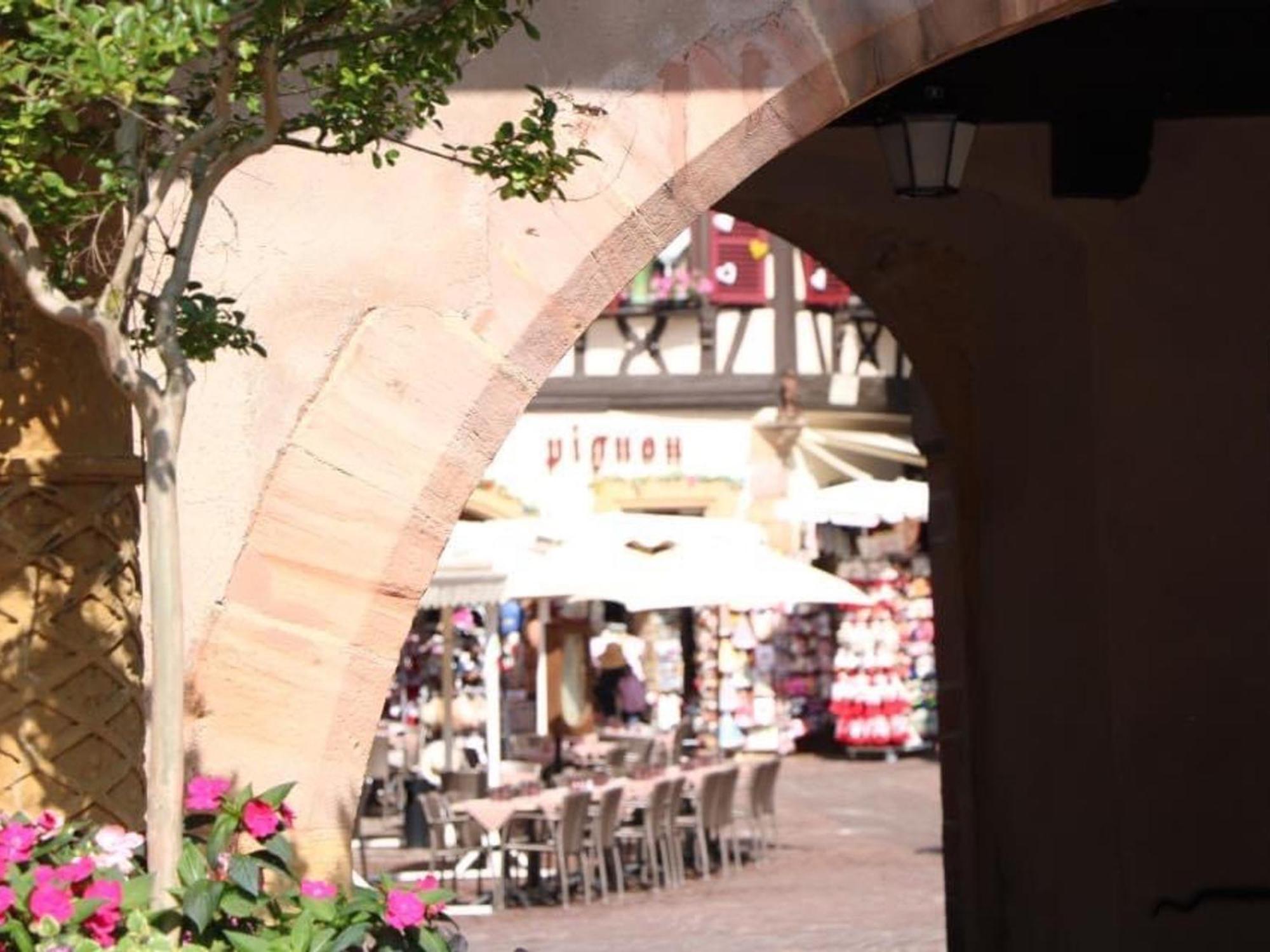 Charmant Appart Avec Garage Et Terrasse Au Coeur De Colmar, Pres De La Route Des Vins D'Alsace - Fr-1-722-6 エクステリア 写真