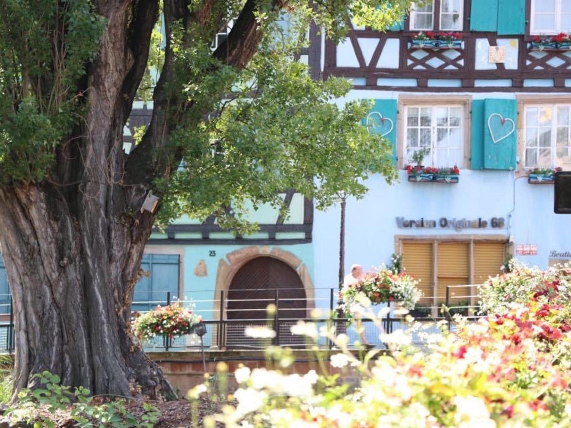 Charmant Appart Avec Garage Et Terrasse Au Coeur De Colmar, Pres De La Route Des Vins D'Alsace - Fr-1-722-6 エクステリア 写真